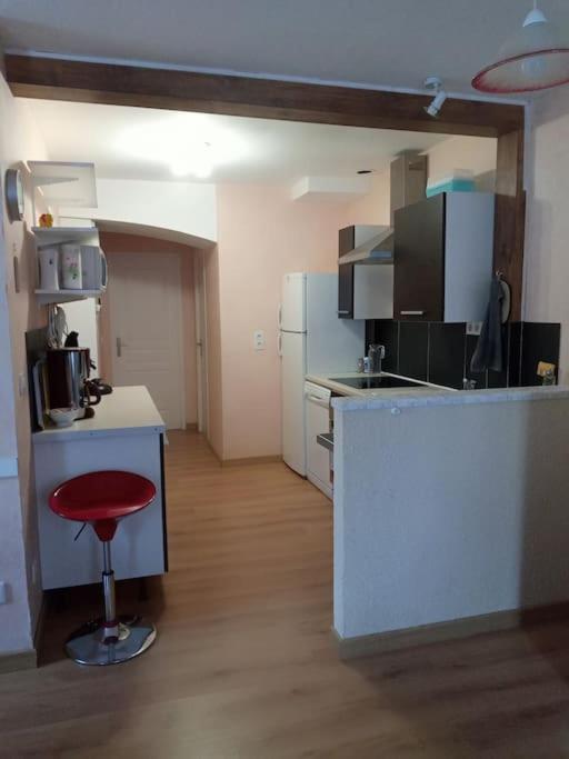 Residence Gascogne, Appartement Rose Boreal Eaux-Bonnes Exterior foto
